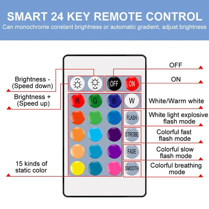 RGB Smart Control Lamp